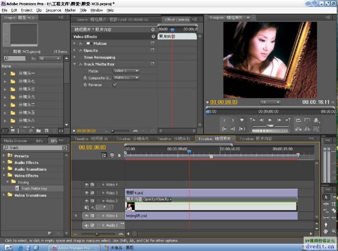 premiere pro cs4Ľ؈D